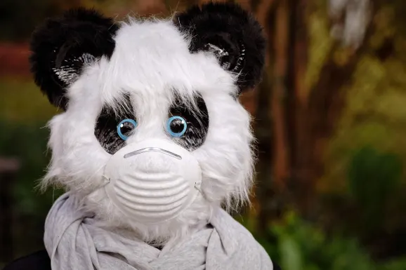 SlotsWin Casino Suporte